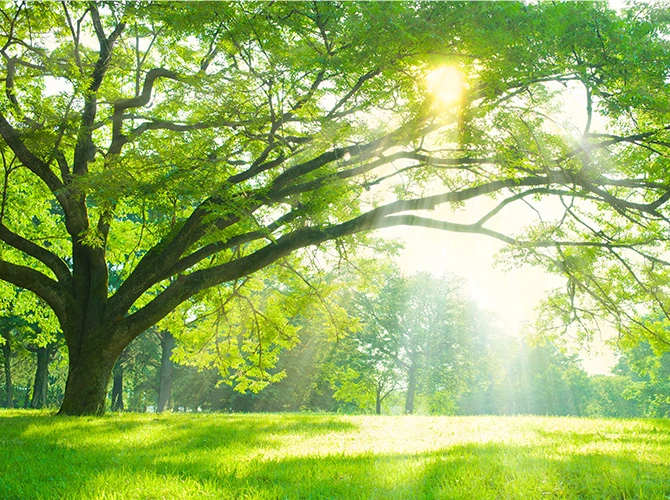 社会の未来を拓く