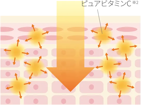 ピュアビタミンC※2