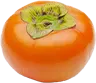 カキタンニン