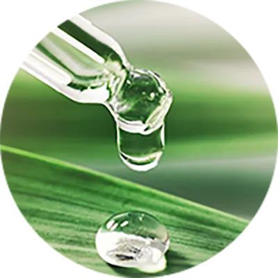 7種の植物幹細胞