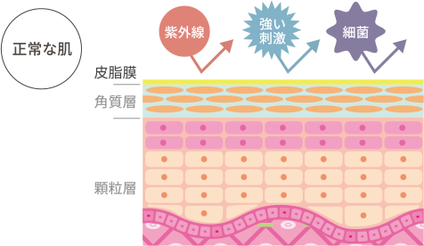 正常な肌