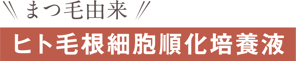 まつ毛由来 ヒト毛根細胞順化培養液